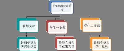 vwin德赢ac米兰官方网党总支介绍
